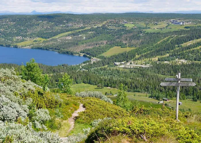 Wadahl Hogfjellshotell Hotel 3*